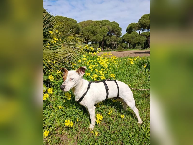 Juna ist liebenswert und unkompliziert