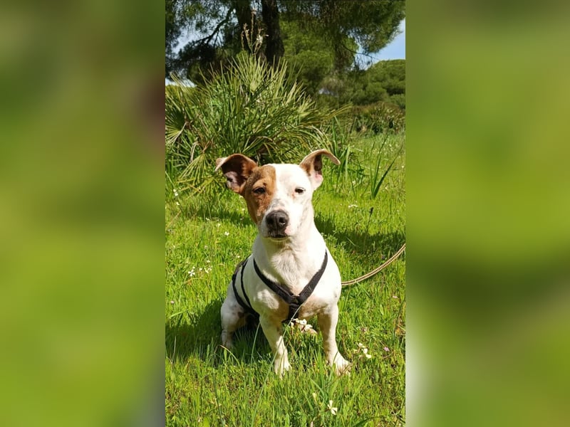 Juna ist liebenswert und unkompliziert