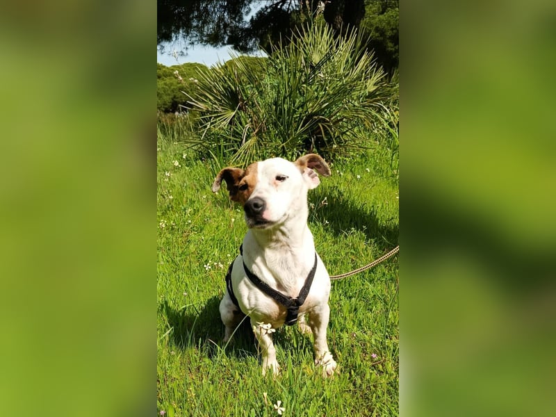 Juna ist liebenswert und unkompliziert