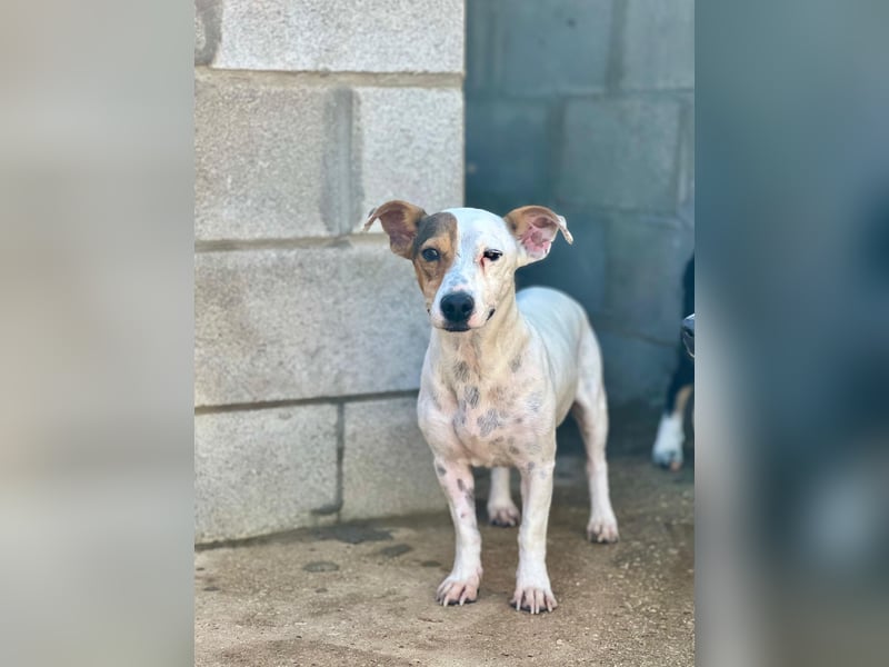 Juna ist liebenswert und unkompliziert