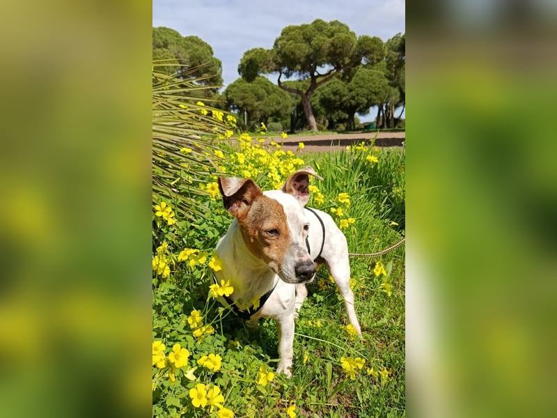 Juna ist liebenswert und unkompliziert