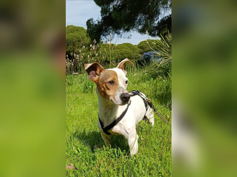 Juna ist liebenswert und unkompliziert