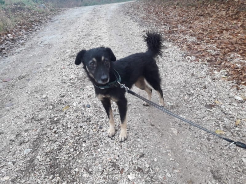 Missy - Sportfreunde aufgepasst