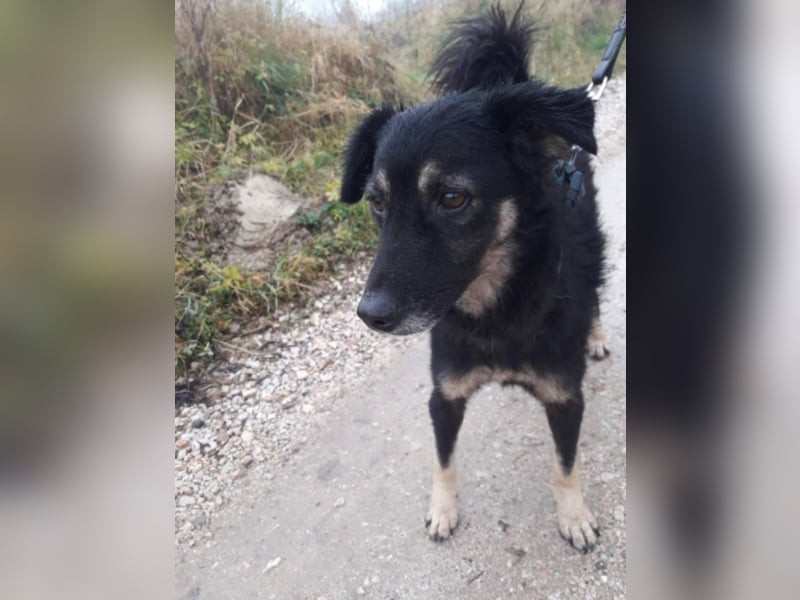 Missy - Sportfreunde aufgepasst