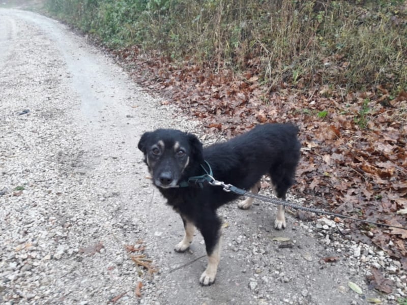 Missy - Sportfreunde aufgepasst