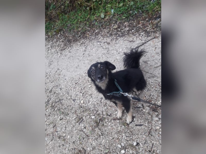 Missy - Sportfreunde aufgepasst