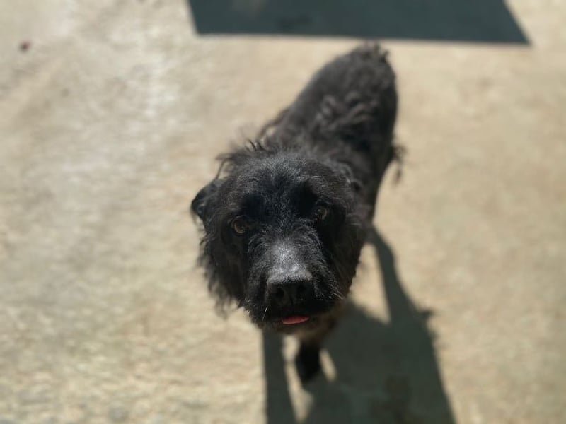 MARIO (Sucht Patenschaft)