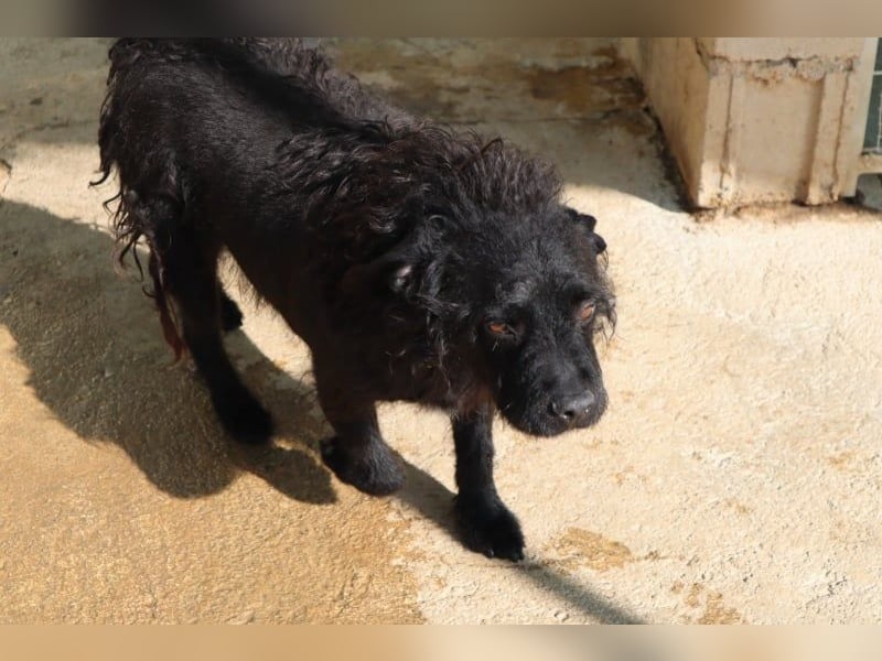 MARIO (Sucht Patenschaft)