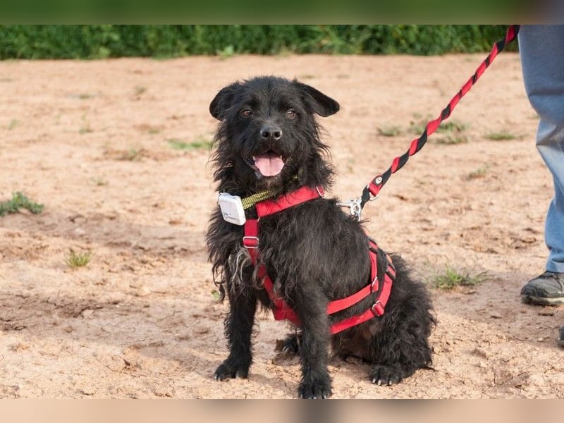 MARIO (Sucht Patenschaft)