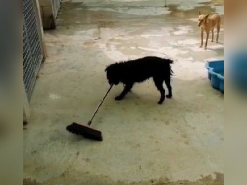 MARIO (Sucht Patenschaft)