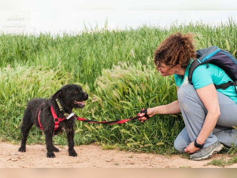 MARIO (Sucht Patenschaft)