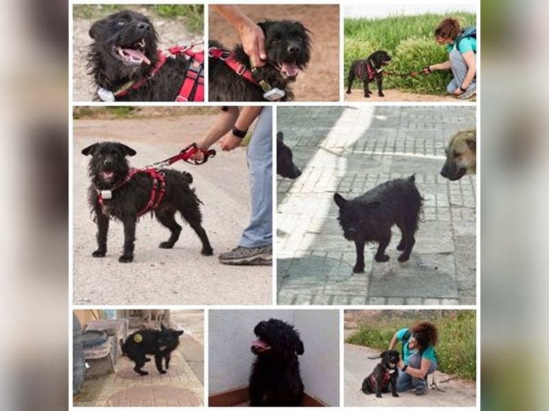 MARIO (Sucht Patenschaft)