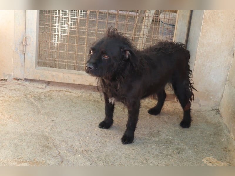 MARIO (Sucht Patenschaft)