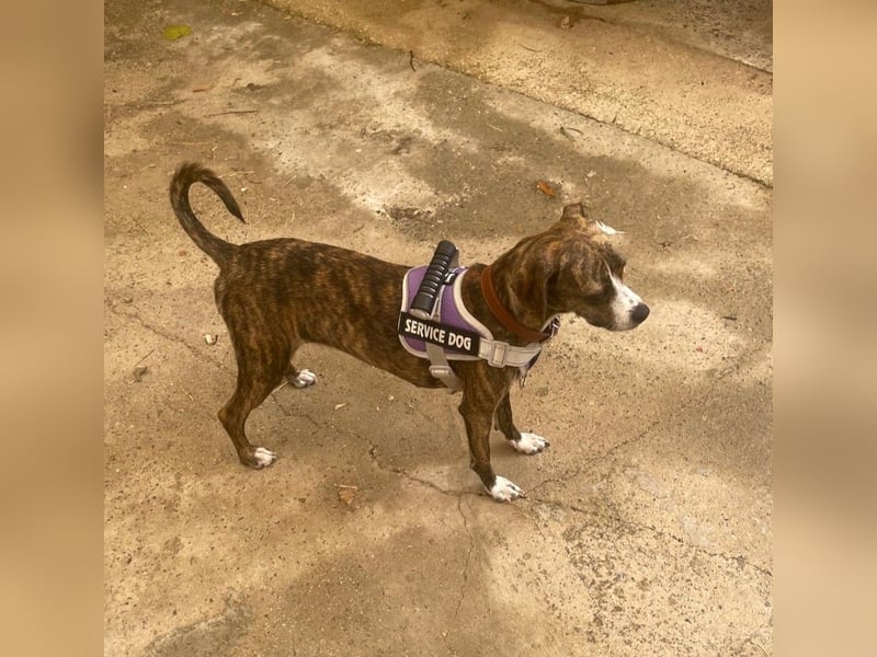 USCHL (Pflegestelle in Guadix (Spanien) )