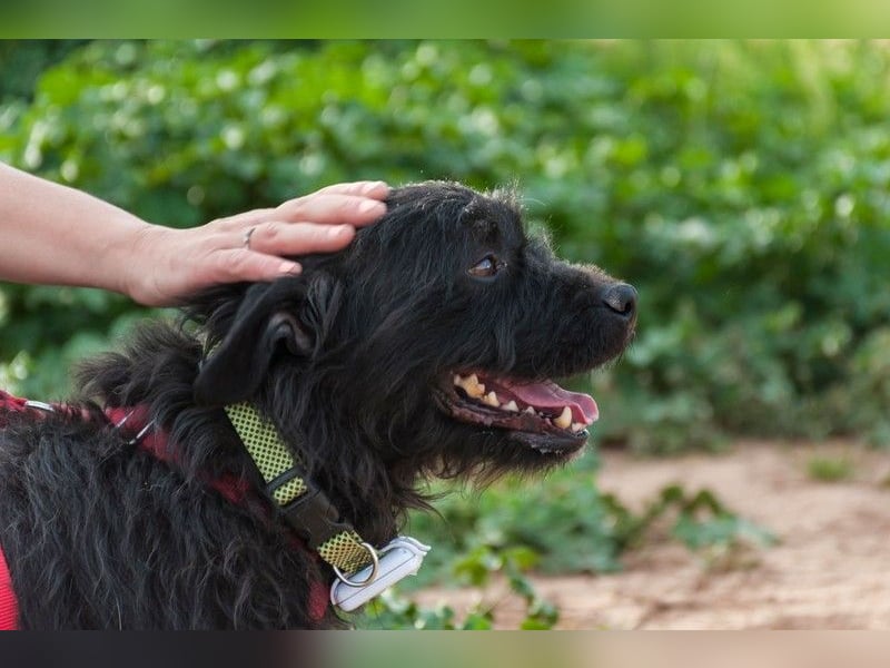 MARIO (Sucht Patenschaft)