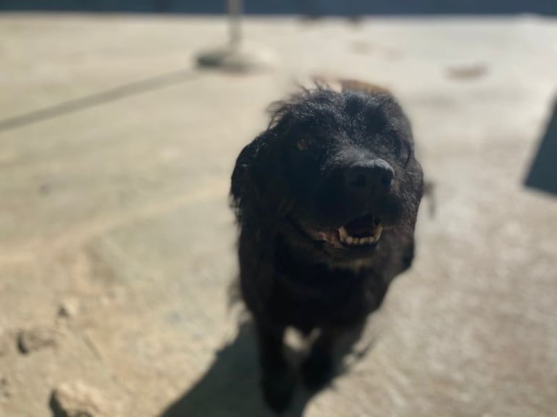 MARIO (Sucht Patenschaft)