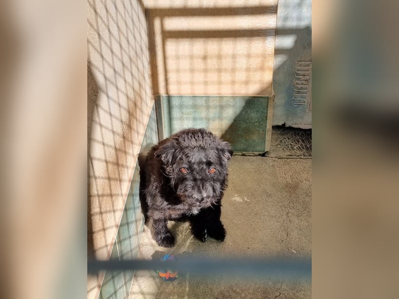 MARIO (Sucht Patenschaft)