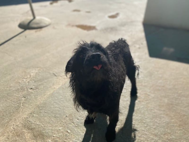 MARIO (Sucht Patenschaft)