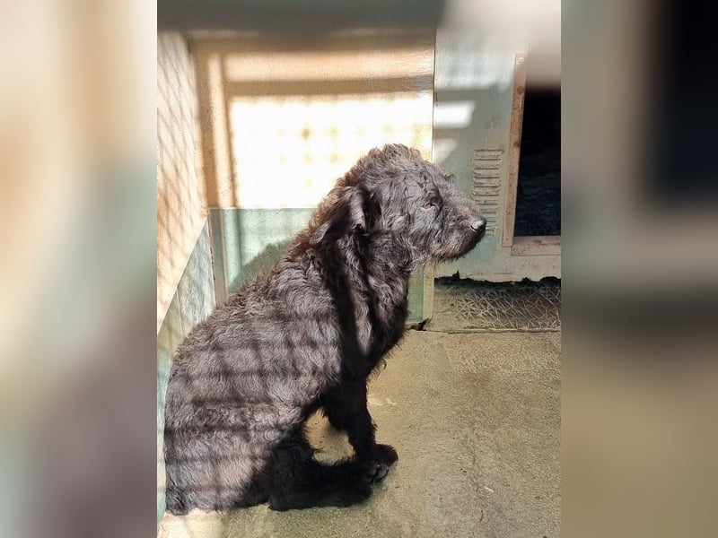 MARIO (Sucht Patenschaft)