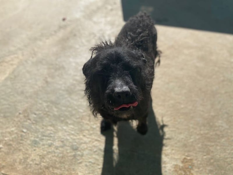 MARIO (Sucht Patenschaft)