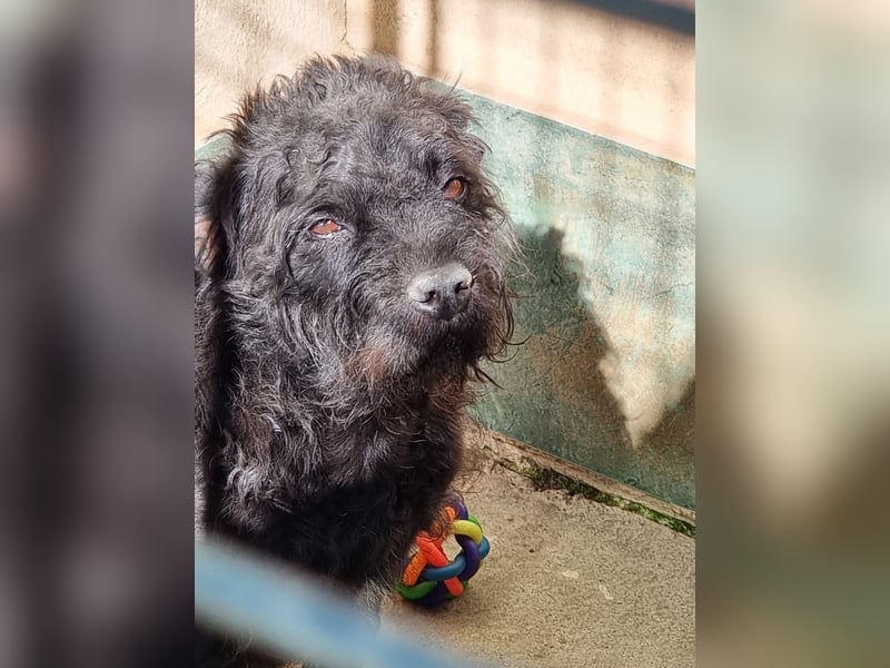 MARIO (Sucht Patenschaft)