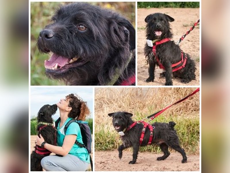 MARIO (Sucht Patenschaft)