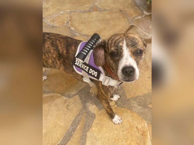 USCHL (Pflegestelle in Guadix (Spanien) )