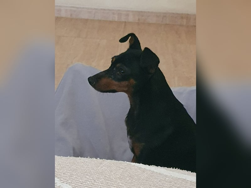 HERMI