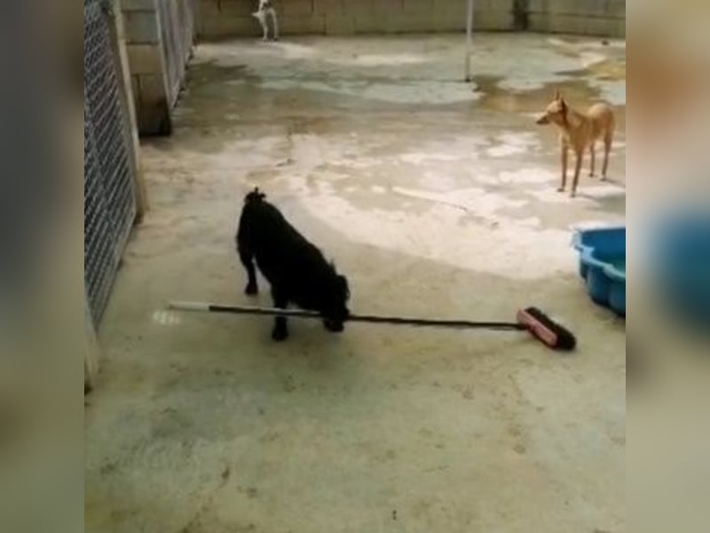 MARIO (Sucht Patenschaft)