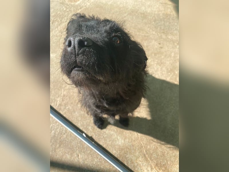 MARIO (Sucht Patenschaft)