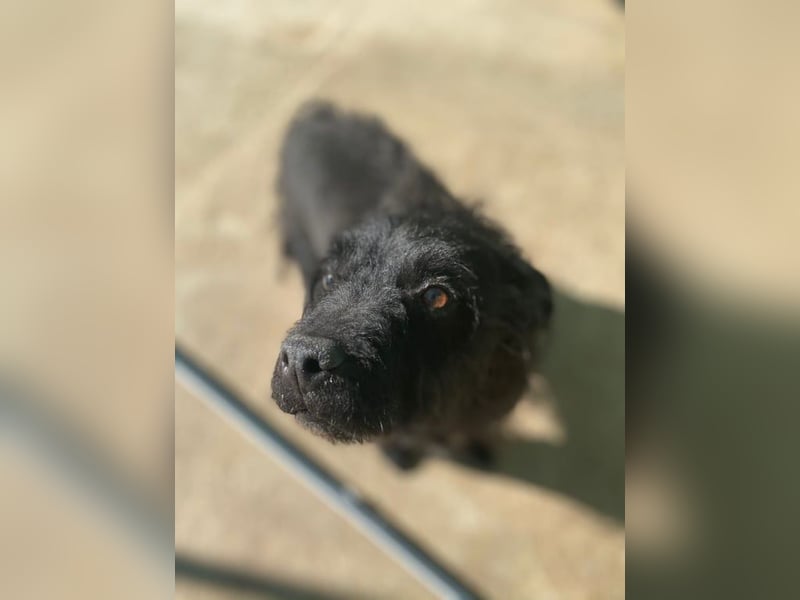 MARIO (Sucht Patenschaft)