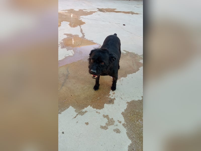 MARIO (Sucht Patenschaft)