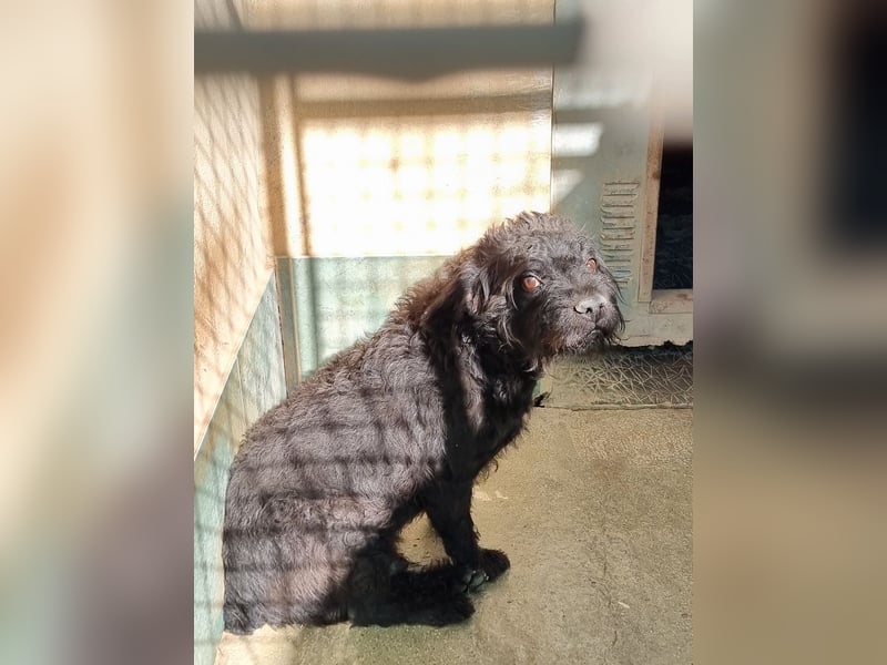 MARIO (Sucht Patenschaft)