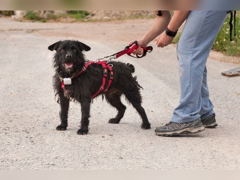 MARIO (Sucht Patenschaft)