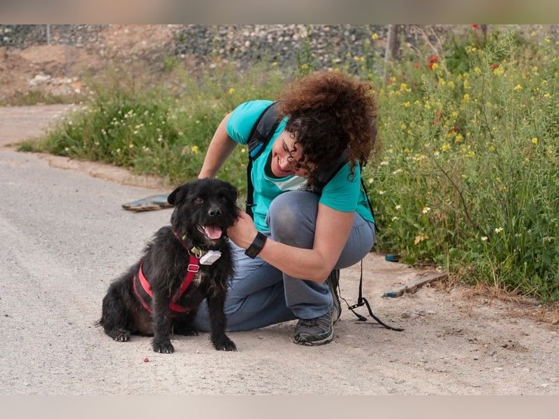 MARIO (Sucht Patenschaft)