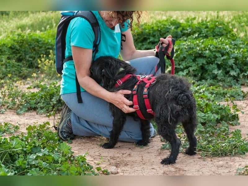 MARIO (Sucht Patenschaft)