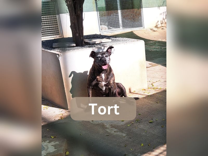 TORT