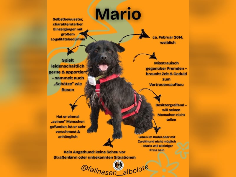 MARIO (Sucht Patenschaft)