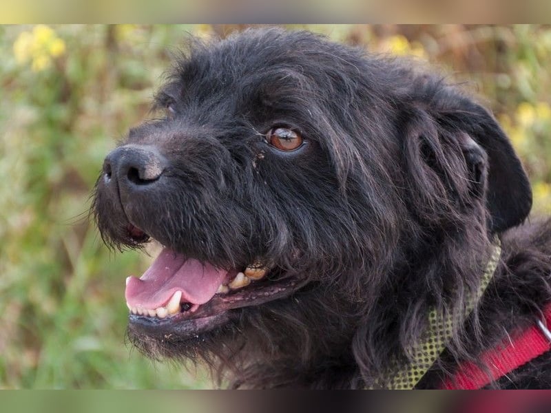 MARIO (Sucht Patenschaft)