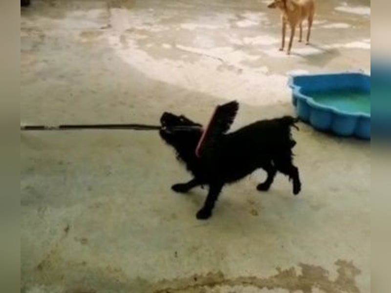 MARIO (Sucht Patenschaft)