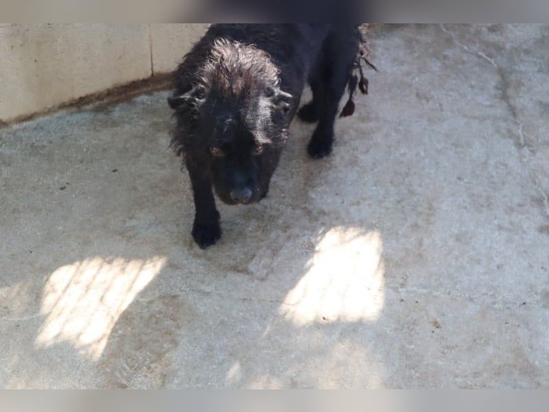 MARIO (Sucht Patenschaft)