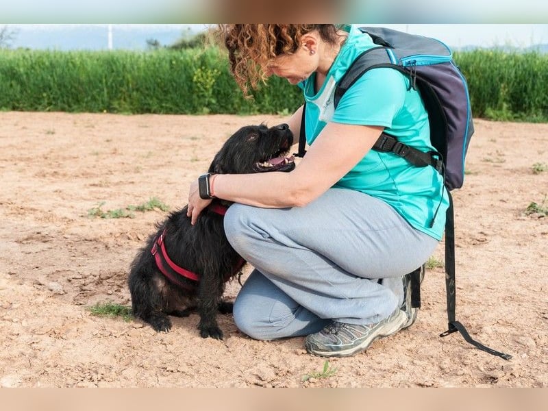 MARIO (Sucht Patenschaft)