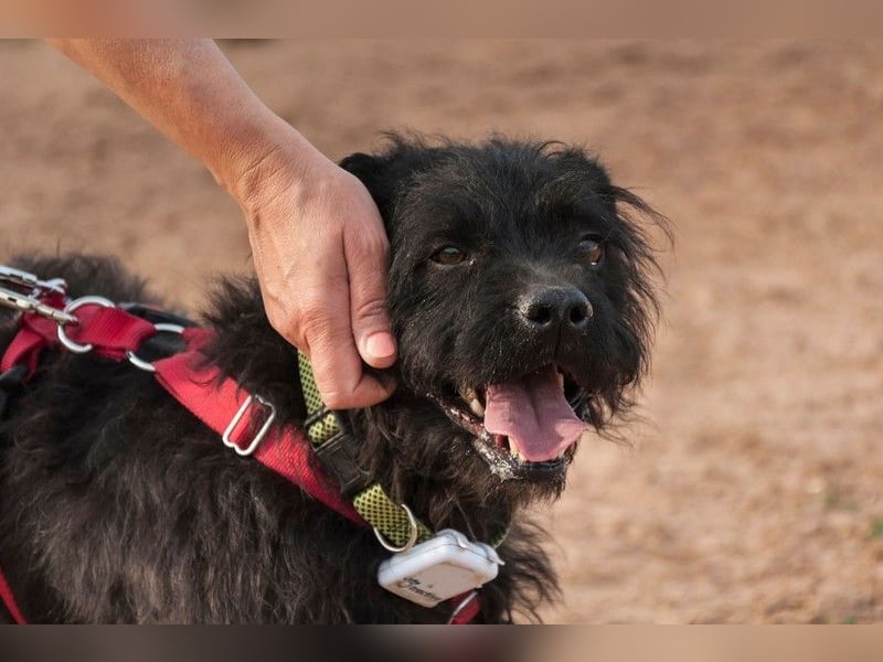 MARIO (Sucht Patenschaft)