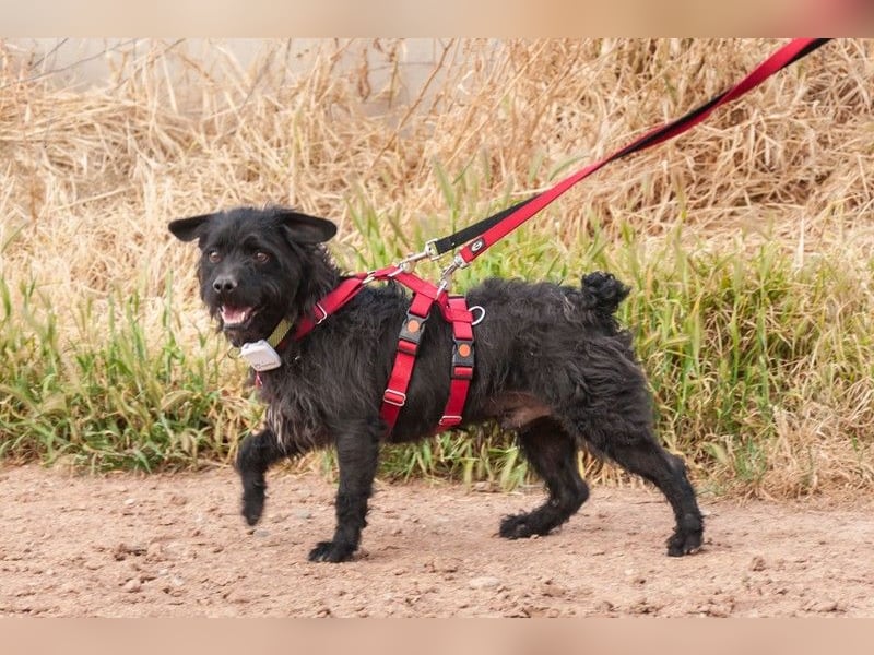 MARIO (Sucht Patenschaft)