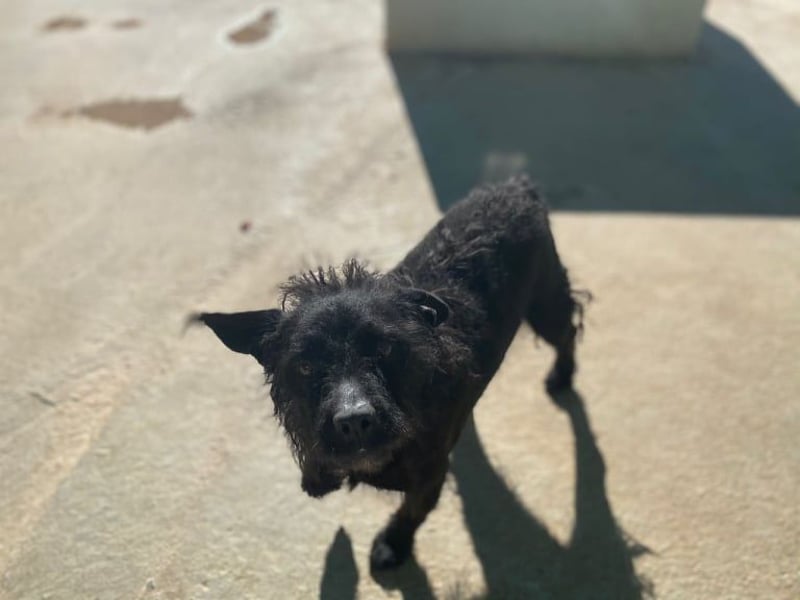 MARIO (Sucht Patenschaft)