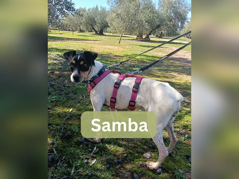 SAMBA