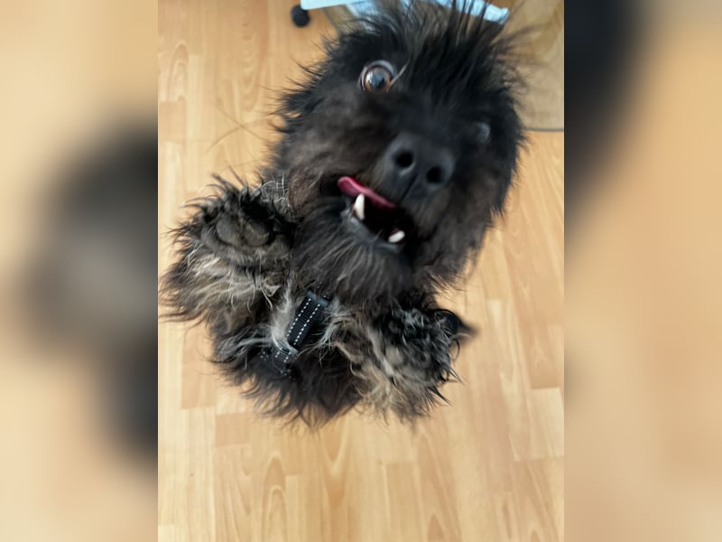 Frohnatur Ronja möchte die Welt entdecken