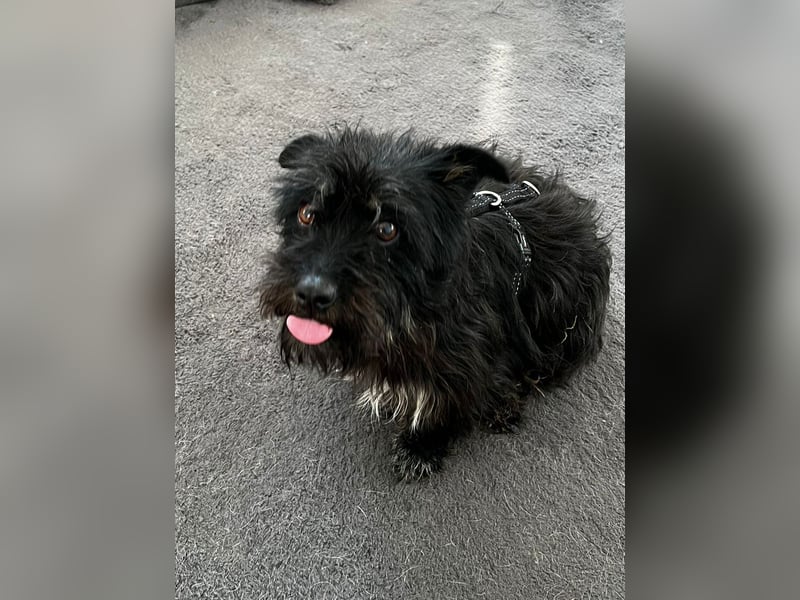 Frohnatur Ronja möchte die Welt entdecken