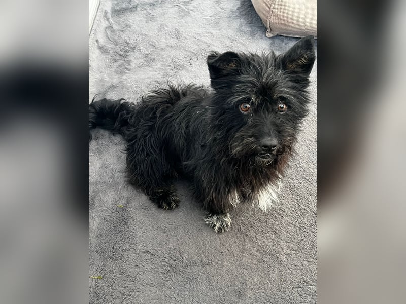 Frohnatur Ronja möchte die Welt entdecken