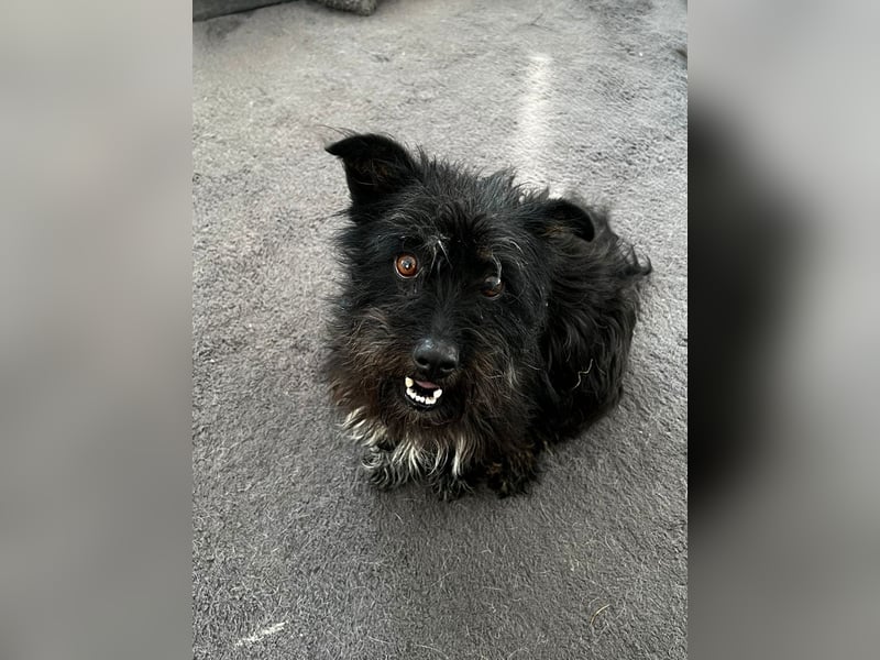 Frohnatur Ronja möchte die Welt entdecken